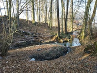 Frýdecký potok